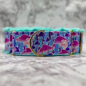 Op de afbeelding: Een hondenhalsband met een blauw en paars paddenstoelenpatroon. De halsband heeft een goudkleurige metalen D-ring en hardware. De binnenkant van de halsband is gevoerd met een zacht, lichtblauw materiaal.