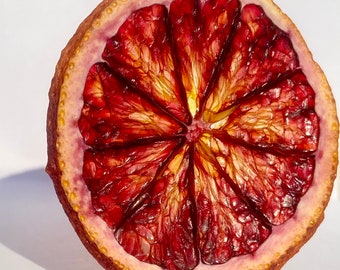 Dehydrated Blood Orange Garnish for Cocktail or Baking