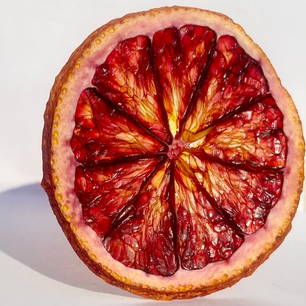 Dehydrated Blood Orange Garnish for Cocktail or Baking