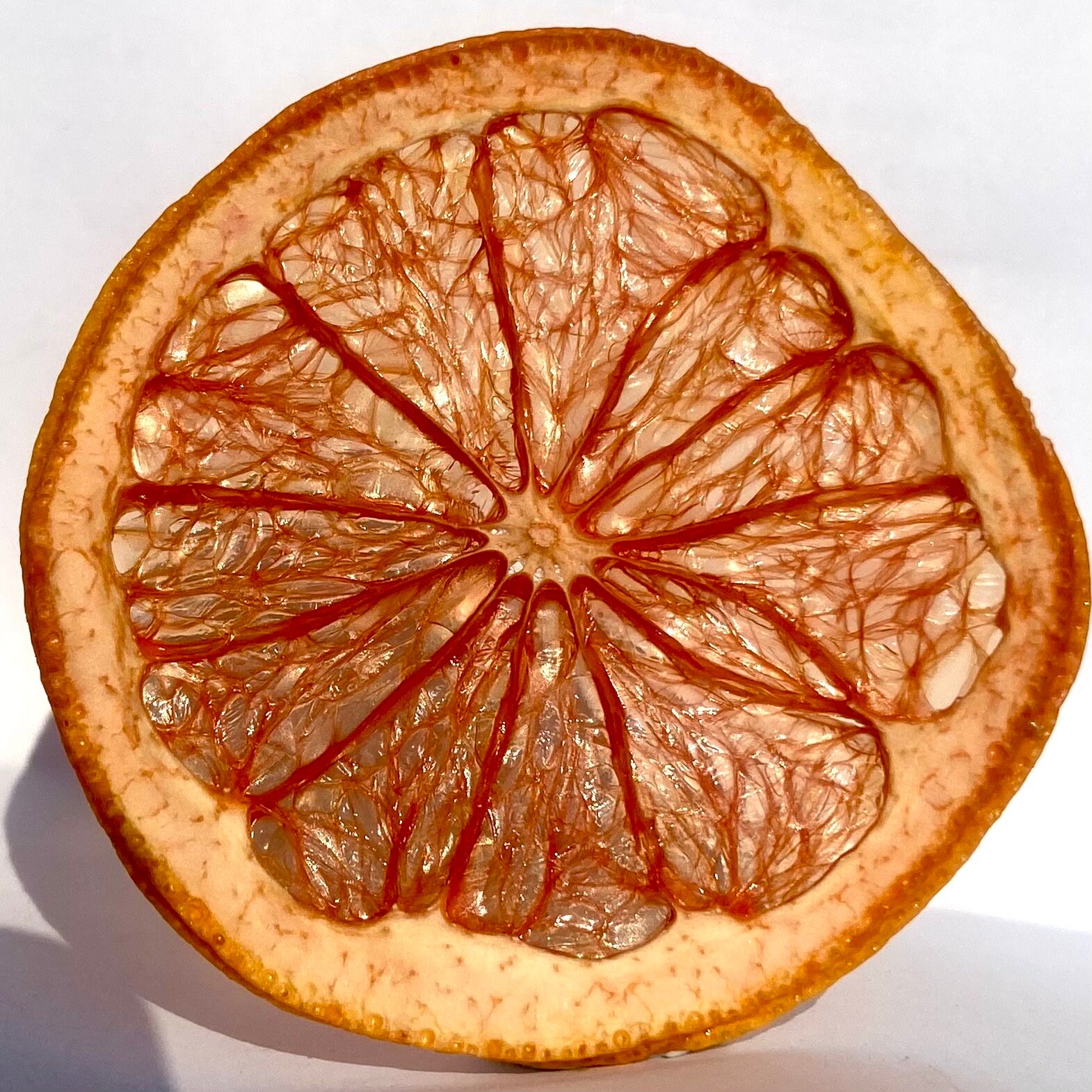 Dehydrated Red Apple Garnish for Cocktails or Baking