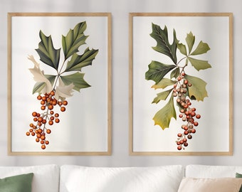 PAIR OF 2 Oregon State Flower Prints, Oregon Matisse Print, Oregon Grape, Floral Art, Neutral Botanical, Boho, Digital Download