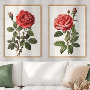 PAIR OF 2 Oklahoma State Flower Prints, Oklahoma Matisse Print, Oklahoma Rose Print, Floral Art, Neutral Botanical, Boho, Digital Download