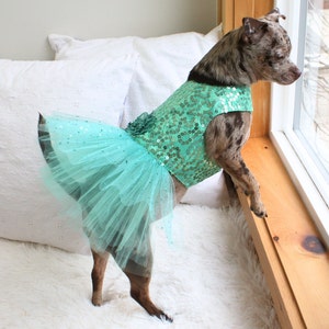 mint green dog dress Dog Dress, Dog Christmas Dress, Cat Dress, Dog Wedding Dress, Dog Dresses for Small Dogs Girl, Girl Puppy Princess Tutu Dress with Leash Ring, Fashion Pet Dog Clothes for Birthday Wedding(M-Green) -