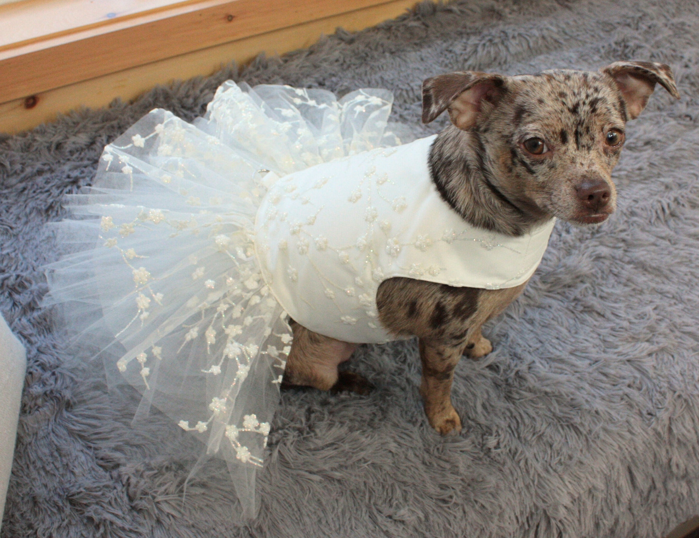 Cream Dog Wedding Dress Tutu With Floral Glitter, Sparkly Pet Ourfit ...
