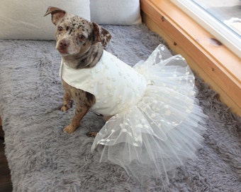 Robe de mariée crème pour chien, tutu avec paillettes florales, tenue scintillante pour animal de compagnie, parfaite pour chien de demoiselle d'honneur ou chien demoiselle d'honneur, vêtements pour petit chien.