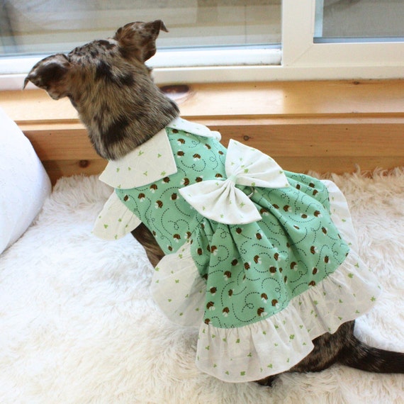 mint green dog dress Dog Dress, Female dog dress, shihtzu birthday dress, dog birthday dress –  Pawgy Pets