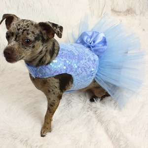 May include: A small dog wearing a light blue tulle tutu with a matching satin bow. The tutu has sequins and lace.