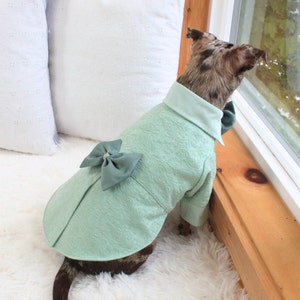 Sage Green Dog Dress - Etsy Canada