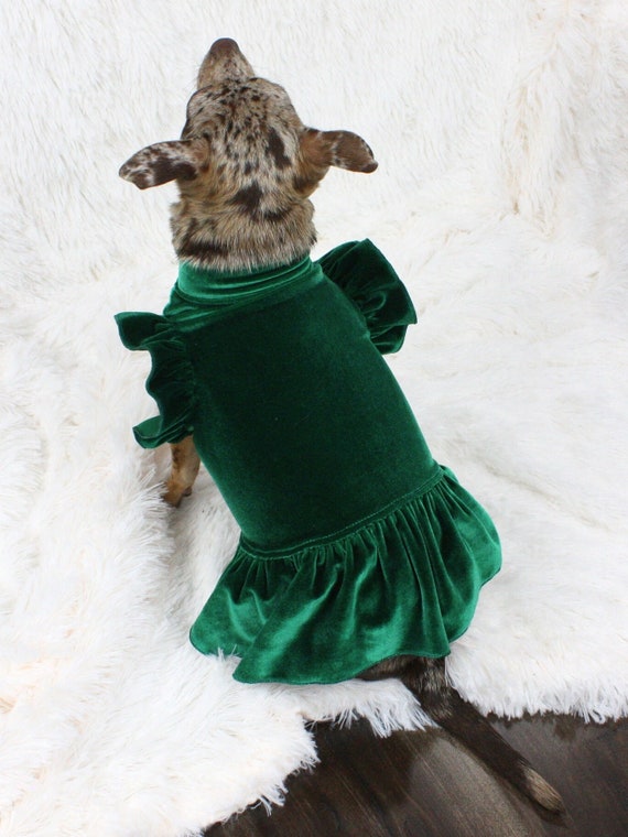 green emerald velvet dress Emerald Green Floral Pet Gown main image 1