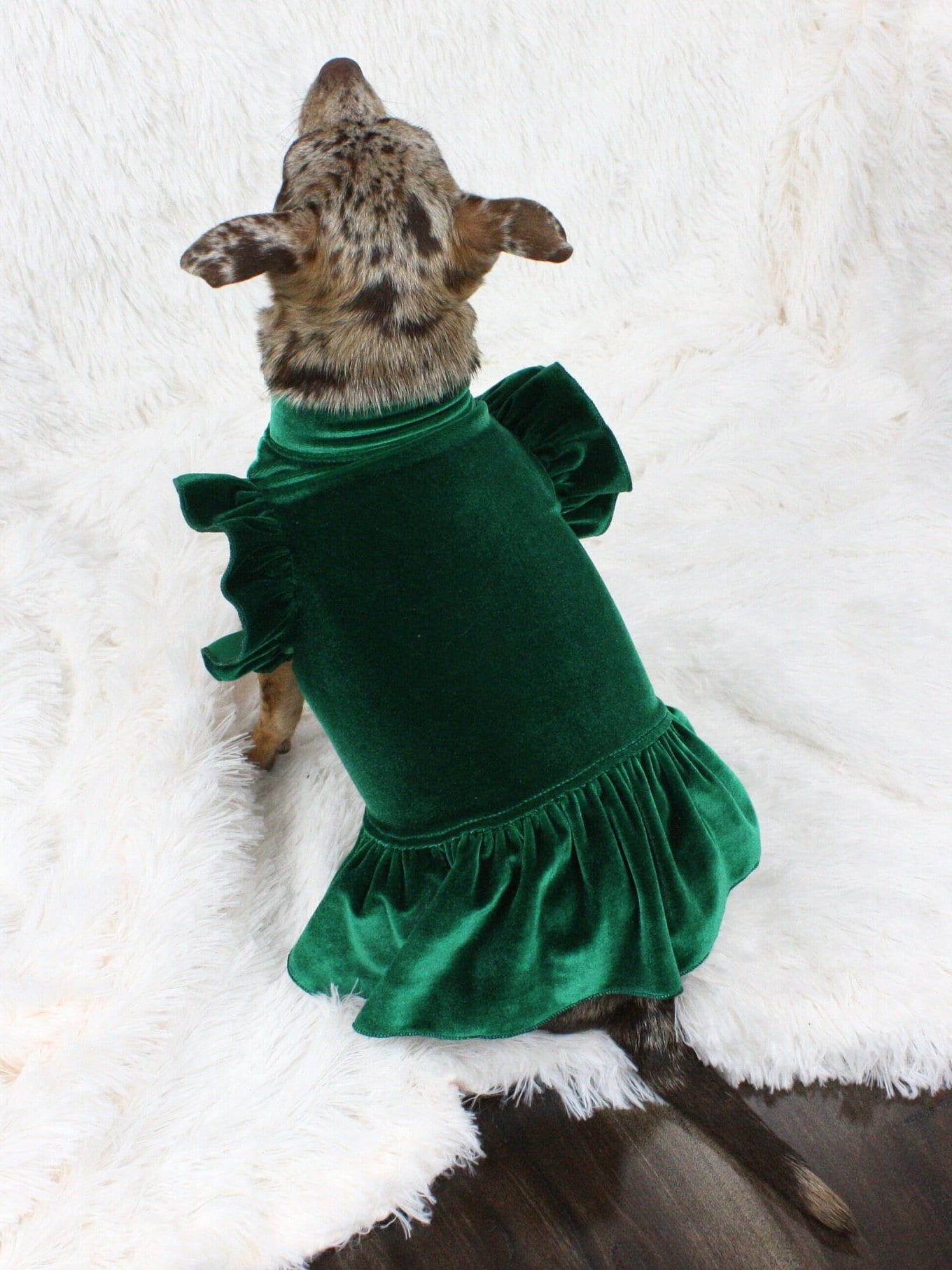Green Dog Dress, Stretch Velvet, Comfortable Pet Outfit Etsy
