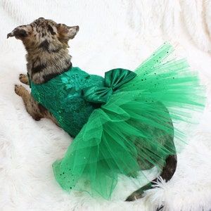 Dog Tutu, Green Shimmer Lace, Pet Dress, Dog Dress, Small Dog Clothing