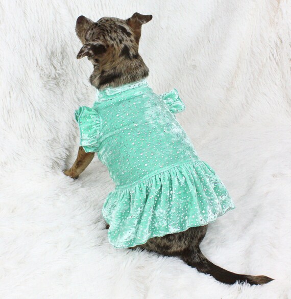 Mint Green Sparkle Dot Dog Dress, Stretch Crushed Velvet, Comfortable Pet  Outfit - Etsy