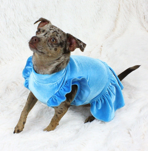 green velvet dog dress Dog Wraparound with Elegant Velvet Ribbon Details – Parsley & Me main image 1