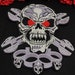 see more listings in the Skull patches section