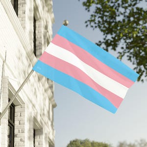 Transgender Pride Flag, LGBTQIA+ Pride Flags, Wall Art, Decor, LGBTQ Pride Decor, Home Decor, LGBT Gift, Trans Flag, Transgender Pride Flag