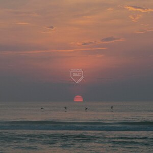 Four Bird Sunrise Fine Art Print