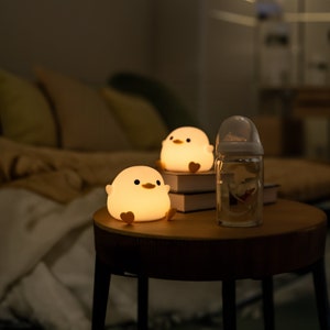 Cute Desk Lamp 