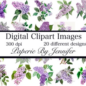 Lilac Flowers Clipart 20 Designs Lilac Blooms Digital Papers Instant Download Printable Clipart Images Flowers Junk Journal Paper