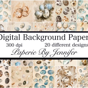 Fondos de huevos de pájaro 20 diseños Papeles digitales de huevos vintage Descarga instantánea Imágenes prediseñadas imprimibles Imágenes de papel de diario basura de huevos de pájaro