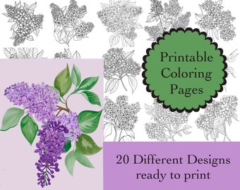 Lilac Flowers Coloring Book 20 Lilacs Coloring Pages Instant Download Lilac Printable Papers Coloring Images Flowers Line Art