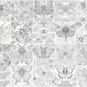 May include: A digital coloring page featuring a collection of 25 intricate black and white illustrations of butterflies and moths. The designs are detailed and perfect for adults who enjoy coloring.