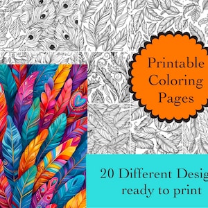 Feathers Coloring Book: 20 Printable Feather Designs (Digital Download)