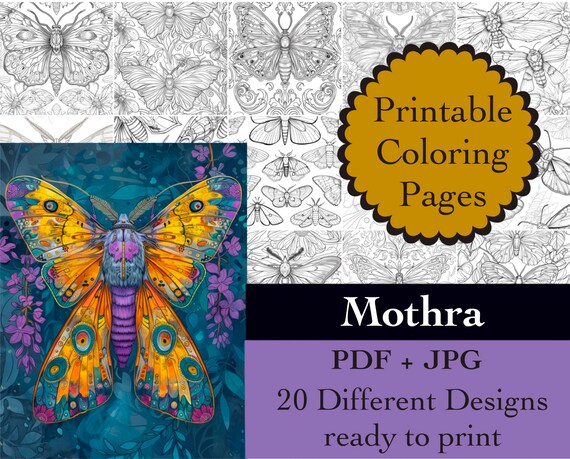 Moth Coloring Book: 20 Insect Line Art Pages (PDF & JPG)
