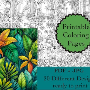 Puede incluir: Un conjunto de 20 páginas para colorear imprimibles con escenas de la jungla. Las páginas están listas para imprimir en formato PDF y JPG. La imagen muestra una página de muestra para colorear con una escena de la jungla colorida.