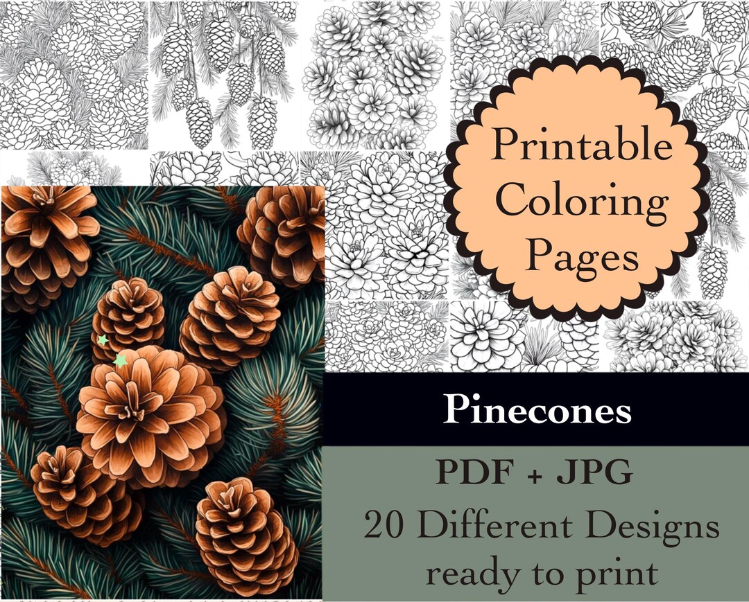 Pinecones Coloring Book 20 Coloring Pages Instant Download Christmas ...