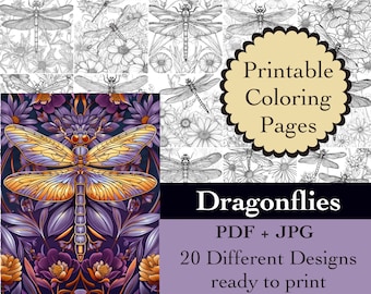 Dragonfly Coloring Book: 20 Insect Line Art Pages (Digital Download)