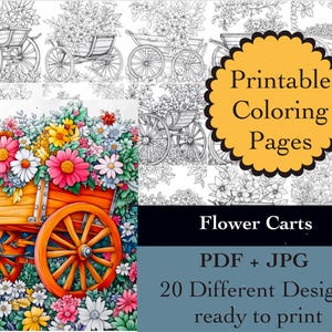 Blumen Malbuch 20 Malseiten zum sofortigen Download Gartenarbeit druckbare Papiere Malbuch Bilder Pflanzen Linie Kunst JPG PDF