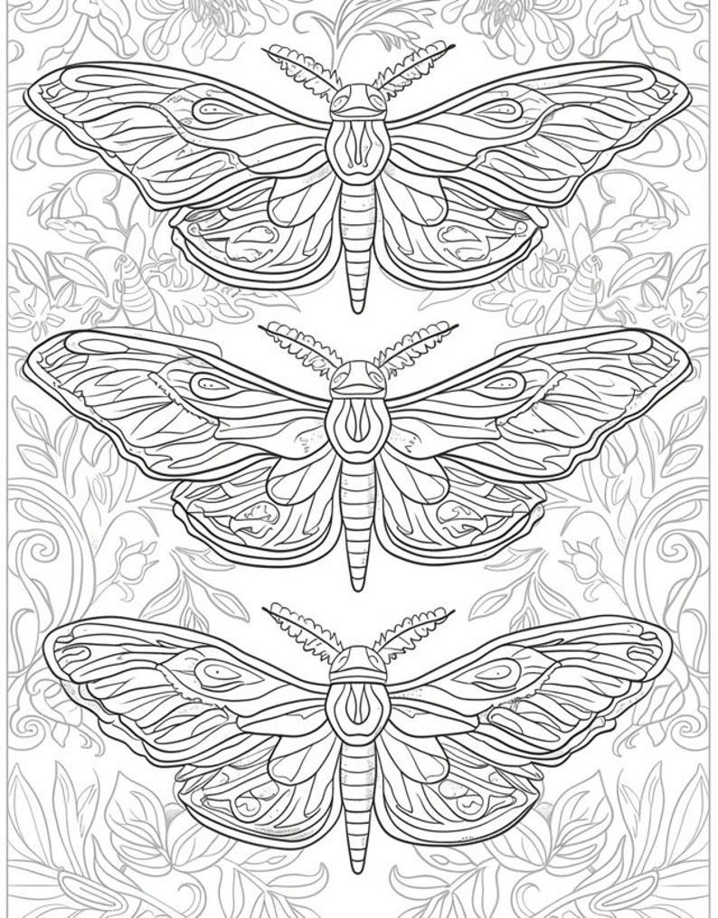 May include: Three black and white line drawings of moths with intricate wing patterns. The moths are arranged vertically, with the top moth slightly larger than the bottom two.