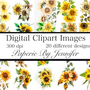 Sunflower Clipart 20 Designs Vintage Sunflower Digital Papers Instant Download Printable Clipart Images Flowers Junk Journal Paper