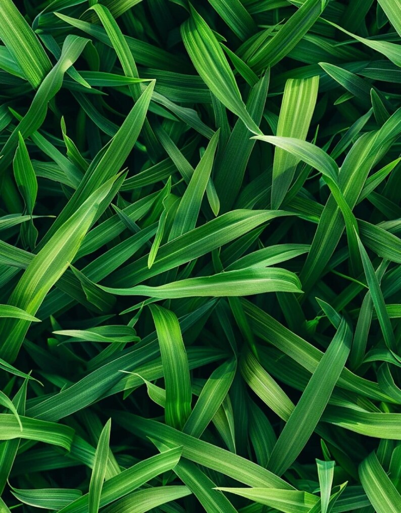Grass Images 20 Moss Backgrounds Instant Download Green Lawn Pattern Papers Grass Texture ...