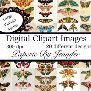 Mariposa Clipart 20 Download instantâneo Mariposa Inseto para impressão Papéis de scrapbook estilo vintage Papéis de insetos Clipart JPG PDF