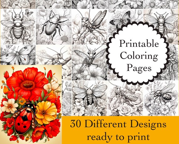 Insects Coloring Book 30 Insects Coloring Pages Instant Download Insects Printable Papers Coloring Book Insects Images Insects Line Art