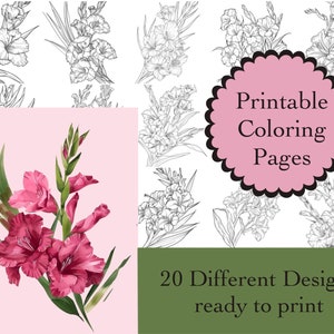 May include: Printable coloring pages featuring 20 different designs of pink gladiolus flowers. The designs are ready to print.