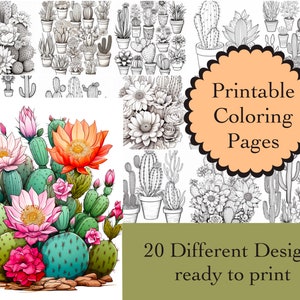 Kaktus Malbuch 20 Kaktus Pflanzen Malseiten Sofort Download Kaktus druckbare Papiere Färbung Bilder Cactus Line Art