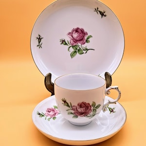 Fürstenberg Porcelain Coffee Cup Collector&#39;s Cup Coffee Set Collector&#39;s Trio Collector&#39;s Set Brand: 1956-