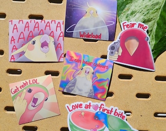 Slightly threatening bird meme stickers | Die Cut | Waterproof Vinyl Sticker | Gift for bird lovers | Water bottle laptop decal scrapbook