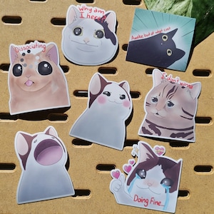 Stickers mèmes chat stupide | Découpe | Autocollant imperméable en vinyle | Cadeau pour les amoureux des chats | Sticker pour ordinateur portable bouteille d'eau | Amoureux des chats