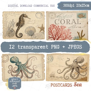 Vintage Meer PNG JPEG Viktorianische Postkarten Illustration Rustikale Meerestiere Scrapbooking Aufkleber, 10 x 15 cm, A4 vorgestanztes Blatt