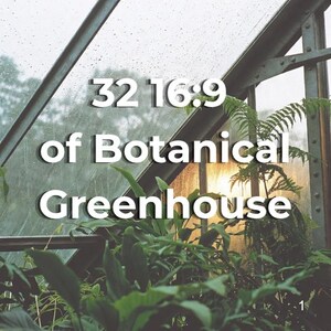 32 botanische kasvideoloops, regenachtige raamachtergrond, Bossa Nova-visuals (4K commercieel gebruik)