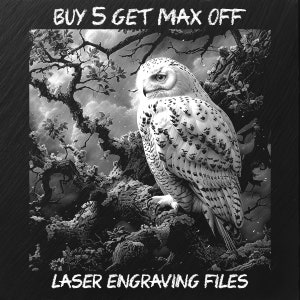 Laser Engraving File PNG, Slate Coaster Board Sign Tray Photo Picture Image, CNC Router, CO2, Lightburn, Glowforge, Xtool, Snowy Owl
