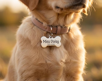Könnte beinhalten: Ein goldener Retriever-Welpe trägt ein hellbraunes Lederhalsband mit einem knochenförmigen Anhänger. Auf dem Anhänger steht "Miss Daisy" und eine Telefonnummer. Der Hund befindet sich auf einem Feld mit verschwommenem Hintergrund.