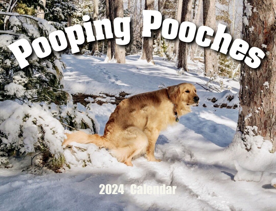 Pooping Dog Calendar 2024 Funny Calendar Funny Dog Calendar Etsy