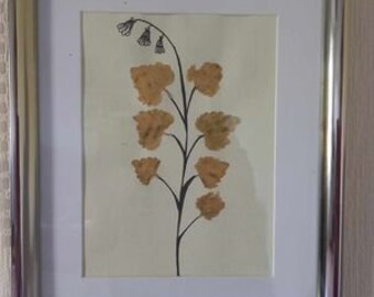Le printemps