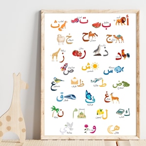 Póster del alfabeto árabe para niños, aprendizaje de las letras árabes, póster árabe, impresión educativa para niños, descarga instantánea