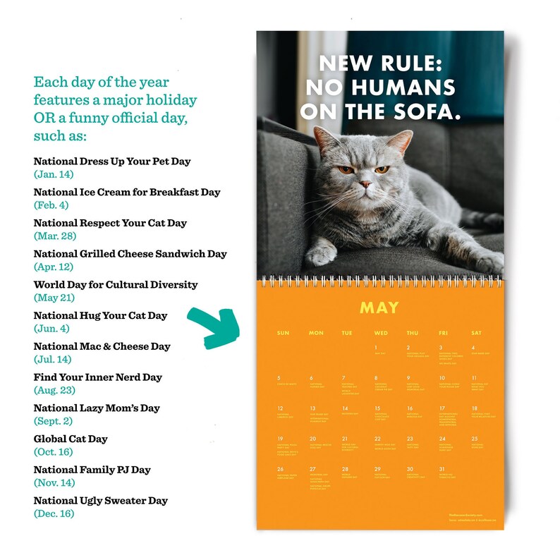 Pissedoff Cats Calendar 2024 Funny Cat Wall Calendar Etsy UK