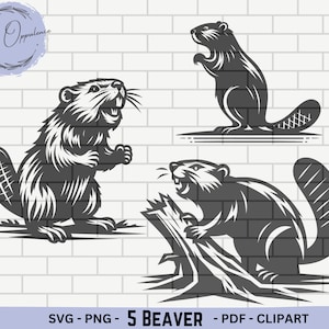 Puede incluir: Tres ilustraciones en blanco y negro de castores. Un castor está de pie con las patas levantadas. Otro castor está royendo un tronco de árbol. El tercer castor está de pie con la boca abierta.